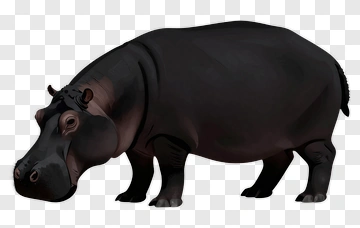 Black Hippo PNG