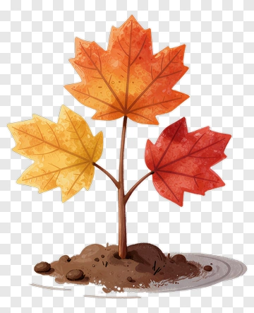 Maple Tree With Autumn Leaves PNG