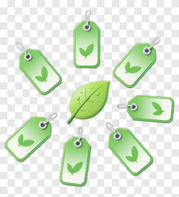 Green Leaf And Tags PNG