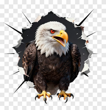 Eagle PNG
