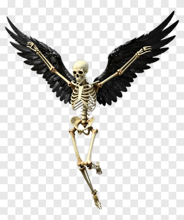 Skeleton Angel With Black Wings PNG