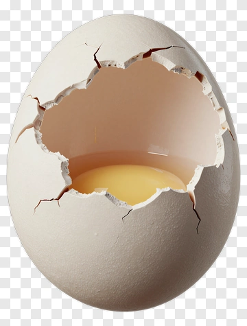 Cracked Egg With Visible Yolk PNG