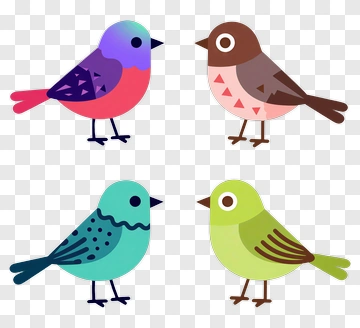 Four Colorful Cartoon Birds PNG