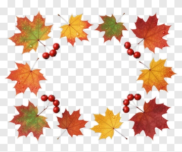 Autumn Maple Leaves And Berries PNG