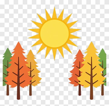 Autumn Trees With Sunny Sky PNG