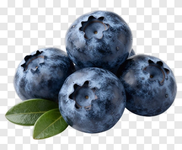 Fresh Blueberries With Leaf PNG