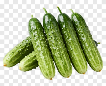 Fresh Cucumber PNG
