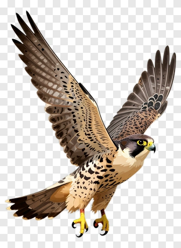 Falcon In Flight PNG