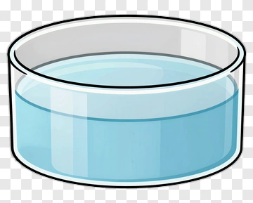 Glass With Blue Water PNG
