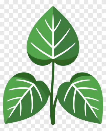Green Leaf Plant Icon PNG