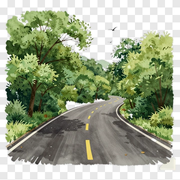 Winding Road Through Forest PNG