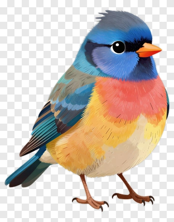 Colorful Cartoon Bird Standing PNG