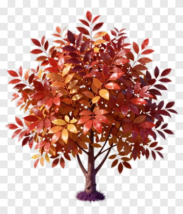 Autumn Tree With Vibrant Leaves PNG