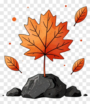 Maple Leaf Growing From Rock PNG