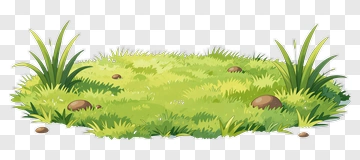 Cartoon Grass And Stones PNG