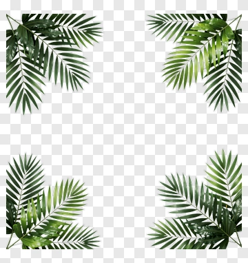 Palm Leaves Corner Frame PNG