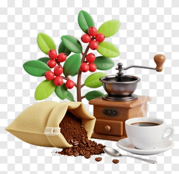 Coffee Plant Grinder And Cup PNG