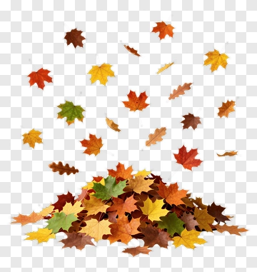 Falling Leaves In Autumn PNG