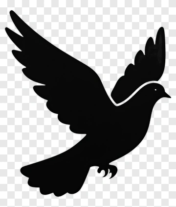 Black Dove Silhouette PNG