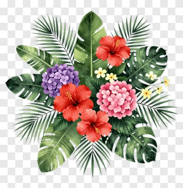 Tropical Flower Arrangement With Hydrangea And Hibiscus PNG