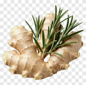 Ginger With Rosemary PNG