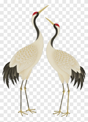 Pair Of Cranes In Traditional Art PNG