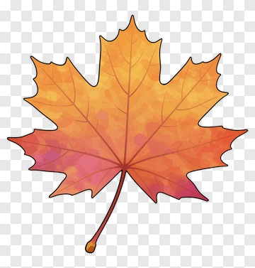 Autumn Maple Leaf PNG