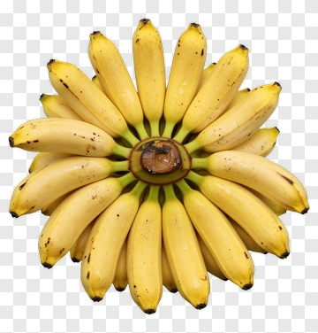 Cluster Of Yellow Bananas PNG