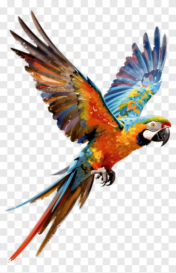 Flying Macaw PNG