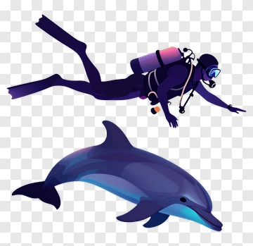 Scuba Diver And Dolphin PNG
