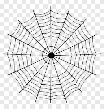 Spider Web PNG