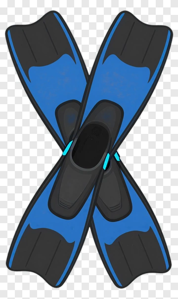 Blue And Black Flippers PNG