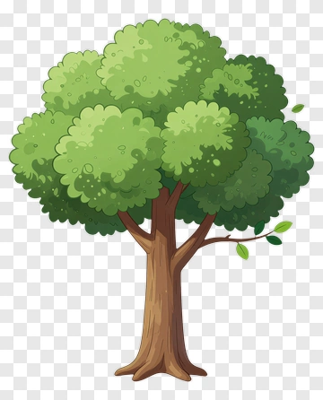 Cartoon Tree With Full Canopy PNG
