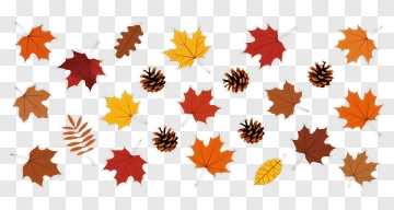 Autumn Leaves And Pinecones PNG