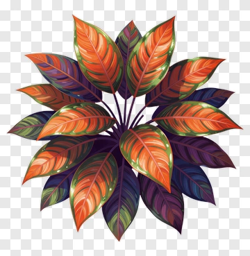 Vibrant Leaf Plant PNG