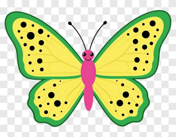 Yellow Green Pink Butterfly PNG