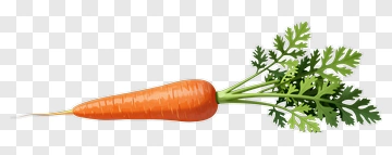 Orange Carrot With Green Leafy Top PNG