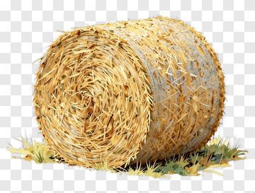 Hay Bale With Grass PNG