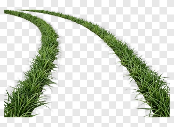Curved Path With Grass PNG