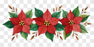 Watercolor Poinsettia Floral Design PNG
