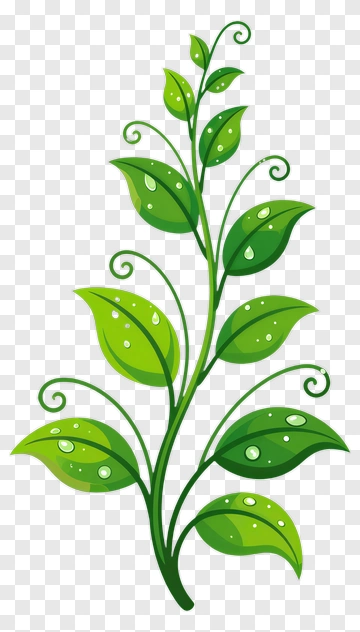 Green Plant With Water Droplets PNG