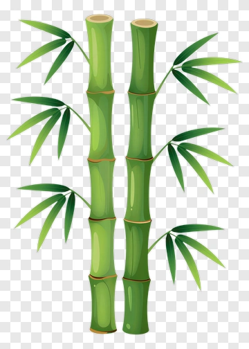 Two Bamboo Stalks With Leaves PNG