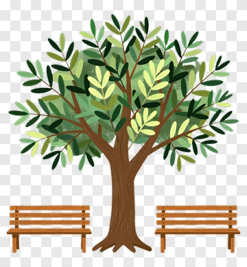 Tree With Two Benches PNG