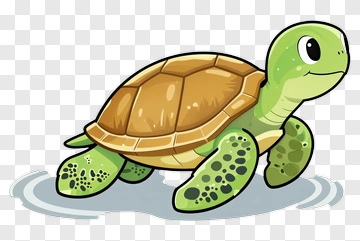 Cartoon Turtle PNG