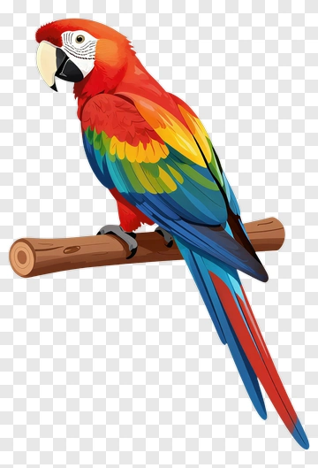 Colorful Parrot Perched On Branch PNG