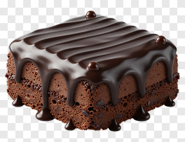 Chocolate Cake With Glossy Icing PNG