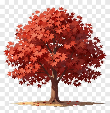 Autumn Maple Tree With Red Leaves PNG