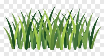 Grass PNG