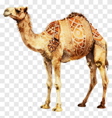 Watercolor Camel With Ornate Saddle PNG
