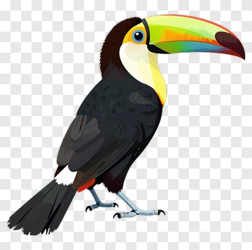 Toucan With Colorful Beak PNG